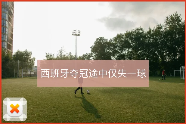 西班牙夺冠途中仅失一球