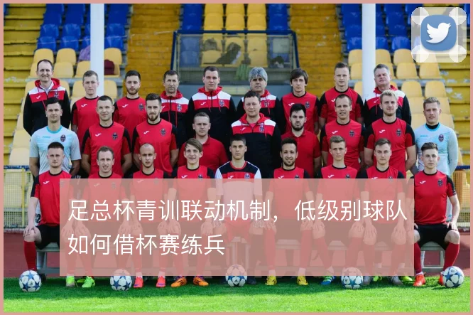足总杯青训联动机制,低级别球队如何借杯赛练兵